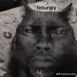 Petyuka