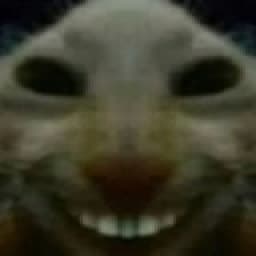 winkki