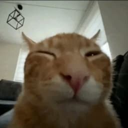 boiboi_