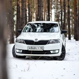 Avangard447