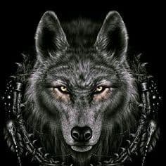 Fearless163