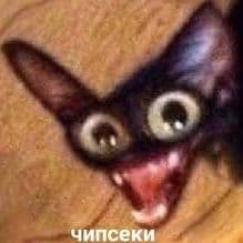 shrek22881