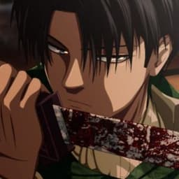 TN_levi