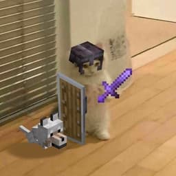 AliFoxxx