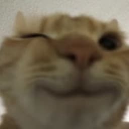 ggkito