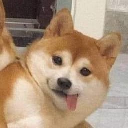floopthepig