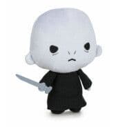 Voldemort_24