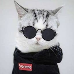 Lexizxcx