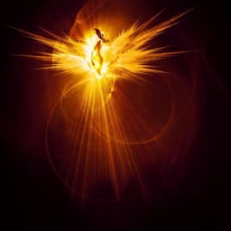 and_Fenix