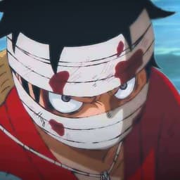 Luffyjecool