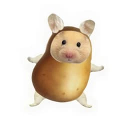weiillc