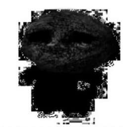 1nputlag0
