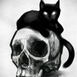 sp0nkky
