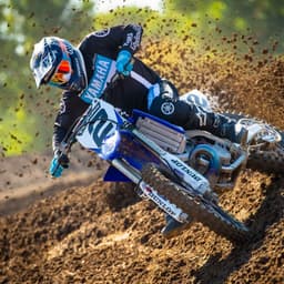 mxJay19