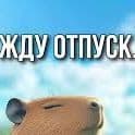 -dwe