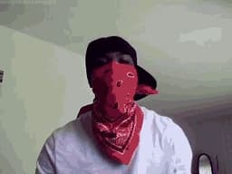 IMM0