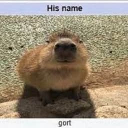 hisnamegort
