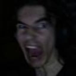Furca4