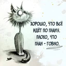 tiltedkidzxc