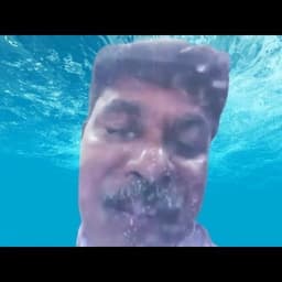 Zeyzard