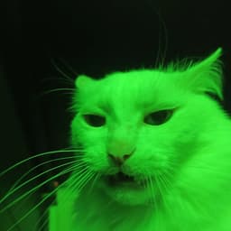 kaspreen666