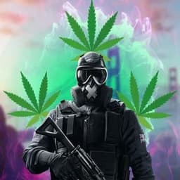 _HiQo_