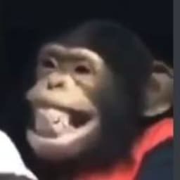 Canablis