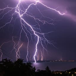 elekzy