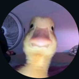 stradai666