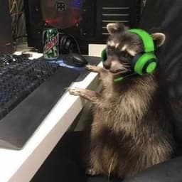 Czok0