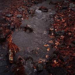 Sangi1996