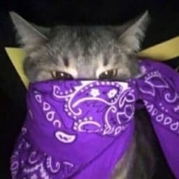 1pikk1
