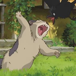 -cloze-