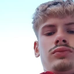 bl1tz_ston