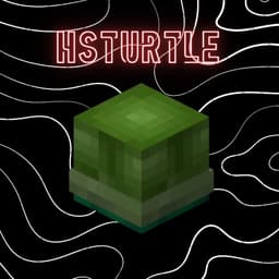 032HsTurtle
