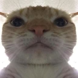 shiu_ouo