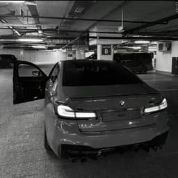 Molot_q