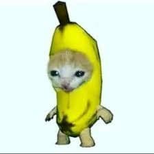 squizzy_69