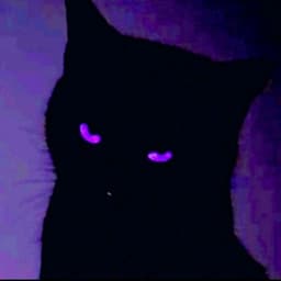 chesn0ker-