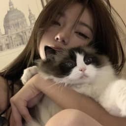 bayaraa-bb