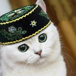bashqR