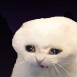 maxmoin