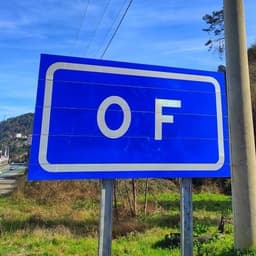 oflu61x