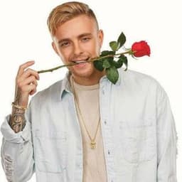 Flake_sb
