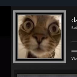 DaviDManvr