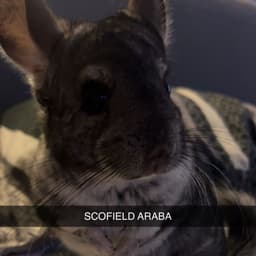 ScooterAbi