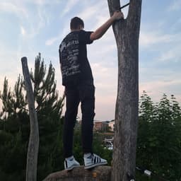 BierBaer_865