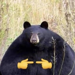 M0rdn