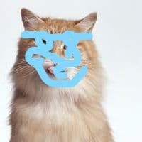 supefly