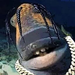 vClevv